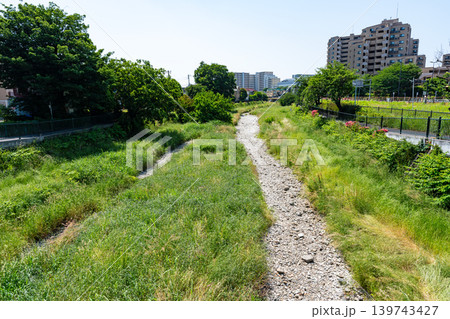 カラカラの野川　車橋からの風景　東京都調布市菊野台 139743427