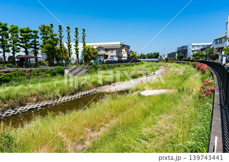 乾いた野川沿いを歩く 水溜まり 東京都調布市柴崎 乾いた野川沿いを歩く 水溜まり 東京都調布市柴崎 139743441