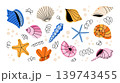 Big collection of hand drawn seashells and sea life elements. Colorful vector illustrations and stickers with various ocean treasures and sea creatures. Cute set of nautical icons for summer design. Big collection of hand drawn seashells and sea life elements. Colorful vector illustrations and stickers with various ocean treasures and sea creatures. Cute set of nautical icons for summer design. 139743455