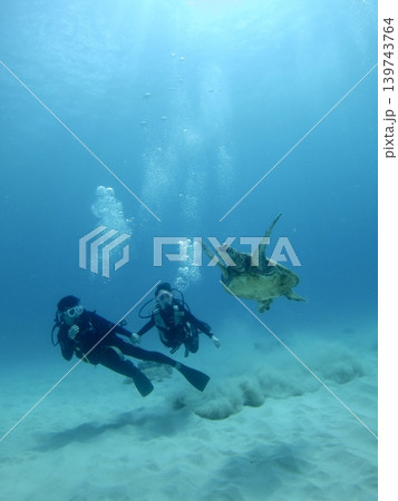 夏の光差し込むハワイの海を泳ぐ野生のウミガメと男女のダイバー|リゾート広告、観光PR素材・旅行広告 夏の光差し込むハワイの海を泳ぐ野生のウミガメと男女のダイバー|リゾート広告、観光PR素材・旅行広告 139743764