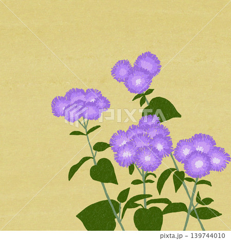 手描きの花のイラスト アゲラタム 手描きの花のイラスト アゲラタム 139744010