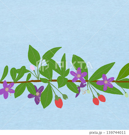 手描きの花のイラスト クコ 手描きの花のイラスト クコ 139744011