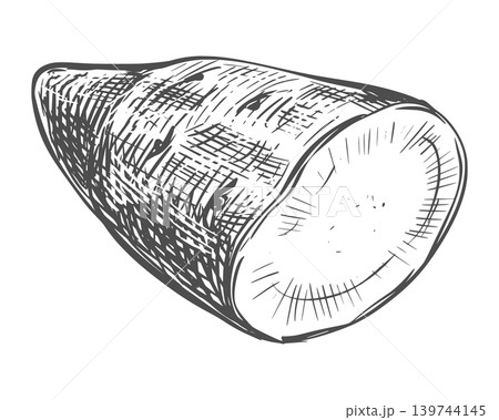 Sweet potato sketch. Vector illustration of the vegetable. Half of an unpeeled Batat lies on a table. Hand drawn, imitating an engraving. Ink outline drawing of the yam. Linear drawing art. Sweet potato sketch. Vector illustration of the vegetable. Half of an unpeeled Batat lies on a table. Hand drawn, imitating an engraving. Ink outline drawing of the yam. Linear drawing art. 139744145