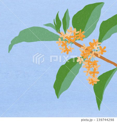 手描きの花のイラスト　キンモクセイ 139744298