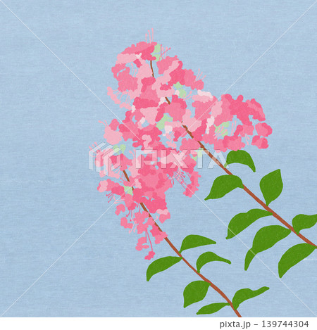 手描きの花のイラスト　サルスベリ 139744304