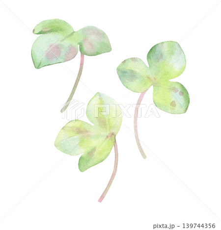 Watercolor set of spring leaves in soft green tones. Hand-painted anemone hepatica, liverwort isolated on white background. Ideal for patterns, stationery, wedding design, packaging and branding Watercolor set of spring leaves in soft green tones. Hand-painted anemone hepatica, liverwort isolated on white background. Ideal for patterns, stationery, wedding design, packaging and branding 139744356
