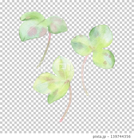 Watercolor set of spring leaves in soft green tones. Hand-painted anemone hepatica, liverwort isolated on white background. Ideal for patterns, stationery, wedding design, packaging and branding Watercolor set of spring leaves in soft green tones. Hand-painted anemone hepatica, liverwort isolated on white background. Ideal for patterns, stationery, wedding design, packaging and branding 139744356