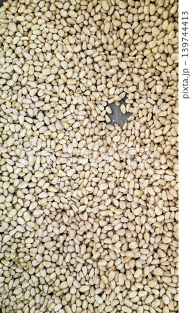 A close-up view of peeled pine nuts scattered on a flat surface. The focus is on the texture and arrangement of the nuts under natural light. A close-up view of peeled pine nuts scattered on a flat surface. The focus is on the texture and arrangement of the nuts under natural light. 139744413