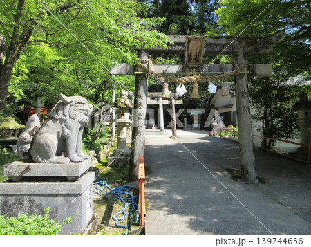 山口県山口市！高嶺稲荷神社の鳥居と狛犬 139744636