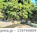 田舎の山　風景 139744809