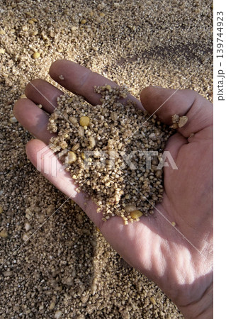 A hand holds a mix of small grains and sand in a bright natural setting. The grains show different sizes and colors, resting in the palm 139744923