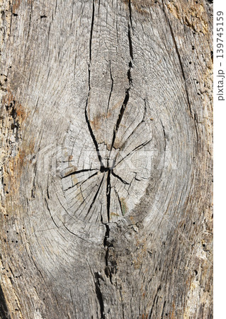 Close up of weathered wood texture with a knot Close up of weathered wood texture with a knot 139745159