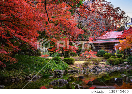 紅葉(小石川後楽園) 紅葉(小石川後楽園) 139745469