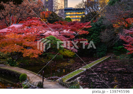 紅葉(小石川後楽園) 紅葉(小石川後楽園) 139745596