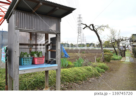岩槻散歩:無人販売 直売所 岩槻区大字表慈恩寺 岩槻散歩:無人販売 直売所 岩槻区大字表慈恩寺 139745720