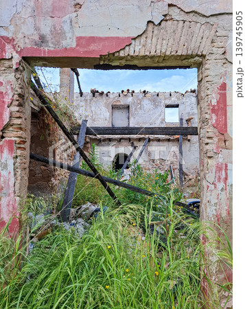 The old brick doorway offers a glimpse into a ruined house filled with debris and wild plants. Green grass and yellow flowers grow all around and the sky is cloudy. 139745905
