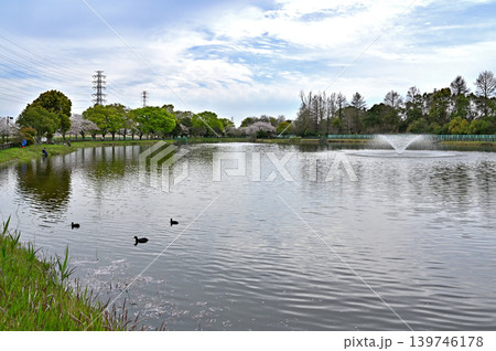 岩槻散歩:慈恩寺親水公園 岩槻散歩:慈恩寺親水公園 139746178