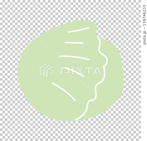 Simple color icon illustration of lettuce Simple color icon illustration of lettuce 139746233
