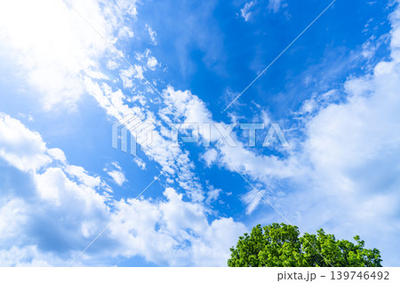 春の青空と雲と新緑 春の青空と雲と新緑 139746492
