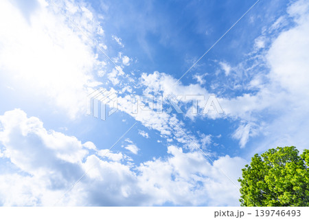 春の青空と雲と新緑 春の青空と雲と新緑 139746493