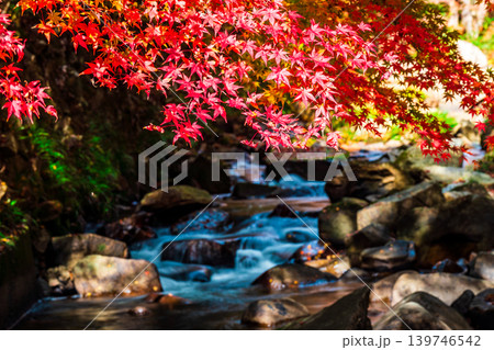 豪渓 晩秋の日差しと紅葉と渓流4 岡山県総社市 豪渓 晩秋の日差しと紅葉と渓流4 岡山県総社市 139746542