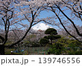 桜と富士山 139746556