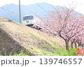 桜と電車 139746557