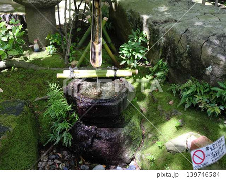 《香川県》栗林公園・水辺・池 《香川県》栗林公園・水辺・池 139746584