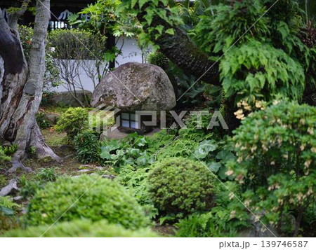 《香川県》栗林公園・水辺・池 《香川県》栗林公園・水辺・池 139746587