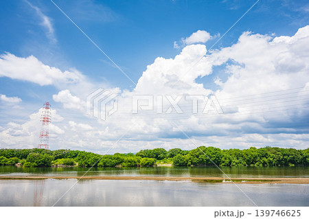 初夏の淀川風景　大阪府枚方市　高槻市 139746625