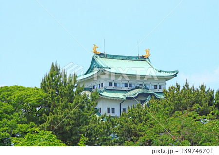 愛知県名古屋市、新緑と名古屋城の風景 139746701