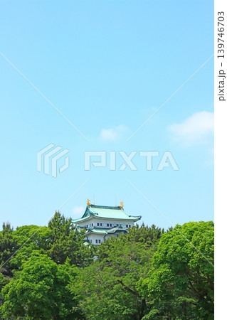 愛知県名古屋市、新緑と名古屋城の風景 139746703