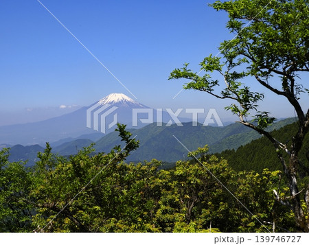 新緑の丹沢・二ノ塔(神奈川県)から望む富士山 新緑の丹沢・二ノ塔(神奈川県)から望む富士山 139746727