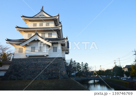 忍城の天守閣（行田市郷土博物館／埼玉県行田市本丸） 139746769