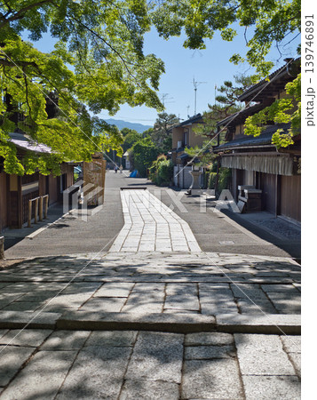 新緑に包まれた参道 139746891