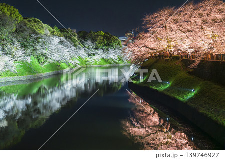 東京の桜の名所「千鳥ヶ淵」 ライトアップされた桜の夜景【東京都・千代田区】 東京の桜の名所「千鳥ヶ淵」 ライトアップされた桜の夜景【東京都・千代田区】 139746927