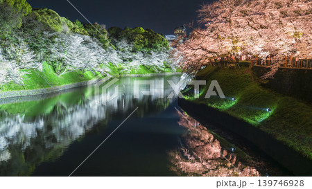 春の東京・千鳥ヶ淵　ライトアップされた桜の絶景【東京都・千代田区】 139746928