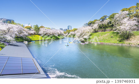 春の千鳥ヶ淵　桜咲く都市の風景【東京都・千代田区】 139746931