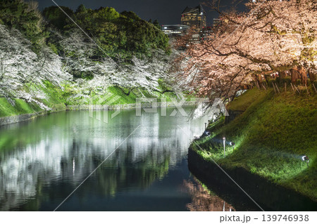 春の東京・千鳥ヶ淵　ライトアップされた桜の絶景【東京都・千代田区】 139746938