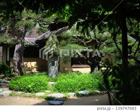 《香川県》栗林公園・水辺・池 《香川県》栗林公園・水辺・池 139747083