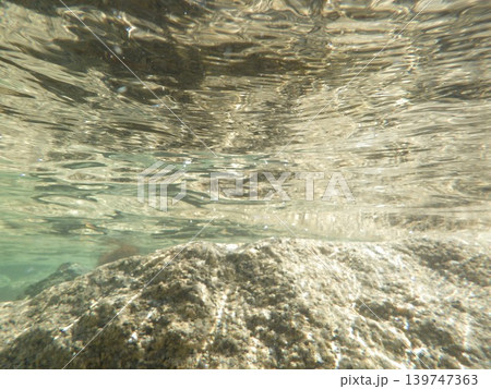 水中写真 139747363