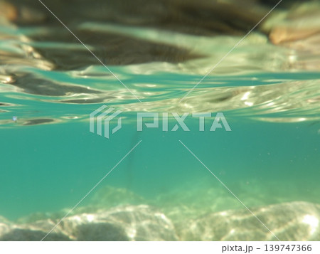 水中写真 水中写真 139747366