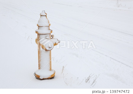 雪の積もった黄色い消火栓 139747472