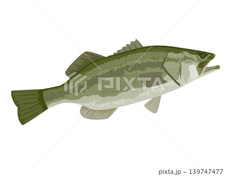 ブラックバスのイラスト 139747477