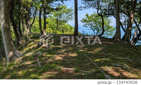 福井県美浜町 国吉城 石垣 土塁 福井県美浜町 国吉城 石垣 土塁 139747636
