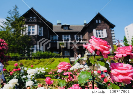 旧古河庭園とバラの花A 旧古河庭園とバラの花A 139747901