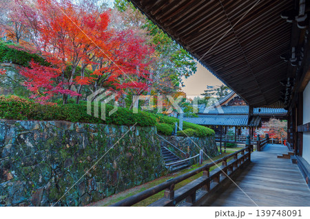 紅葉に包まれた光明寺　護衛堂と御本廟 139748091