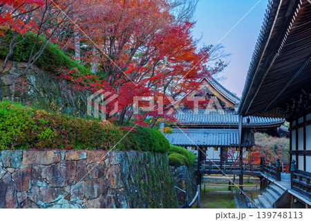 光明寺の紅葉 光明寺の紅葉 139748113