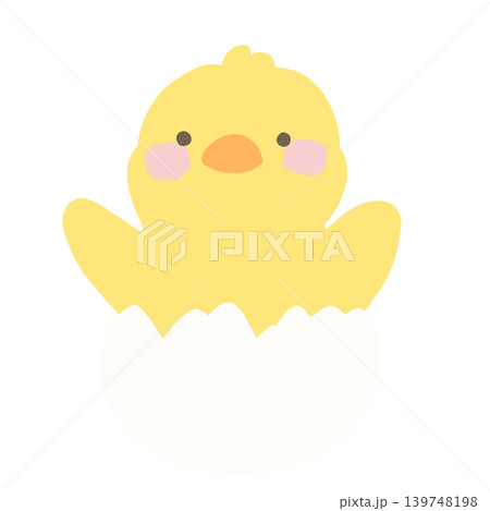卵から生まれた手描きのゆるいひよこのイラスト 卵から生まれた手描きのゆるいひよこのイラスト 139748198