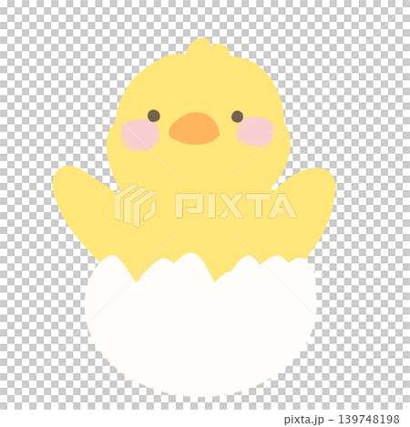 卵から生まれた手描きのゆるいひよこのイラスト 卵から生まれた手描きのゆるいひよこのイラスト 139748198